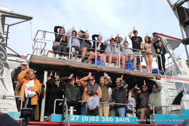 Shark cage diving, South Africa