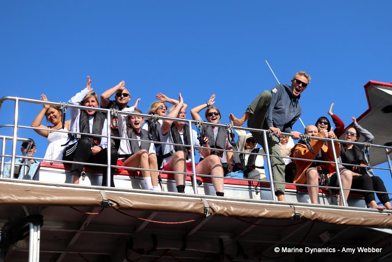 Shark Cage Diving, South Africa