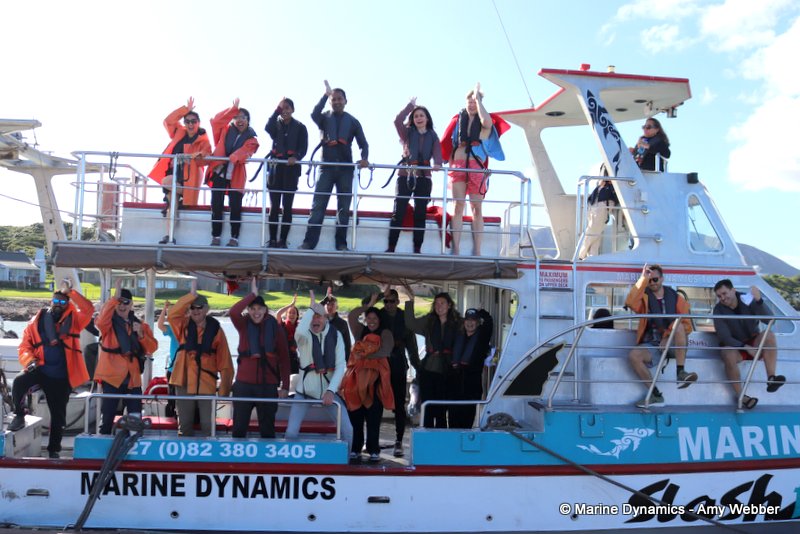 Shark Cage Diving, South Africa