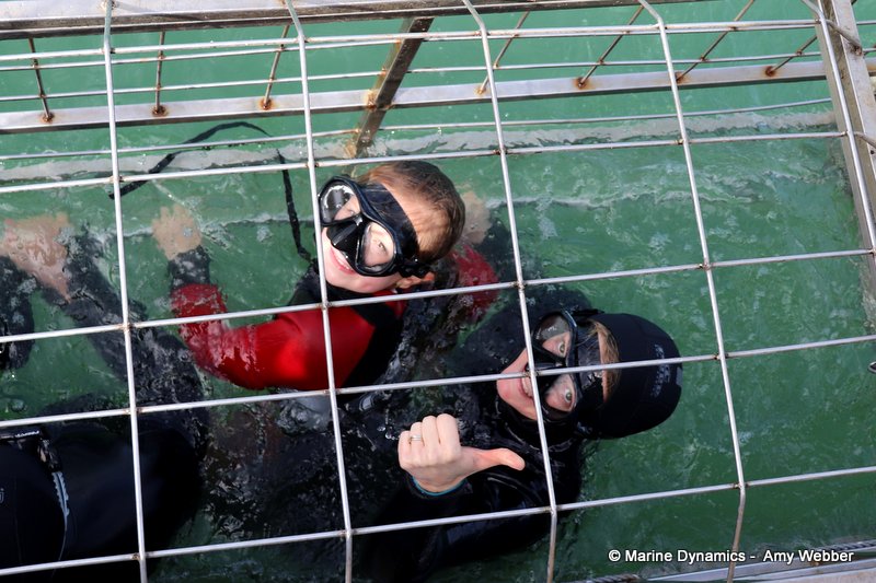 Shark Cage Diving, South Africa